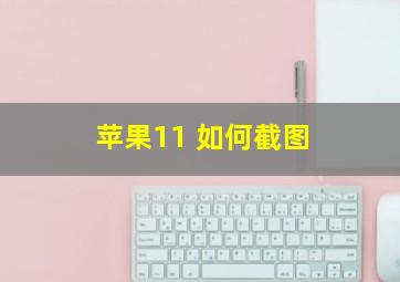 苹果11 如何截图